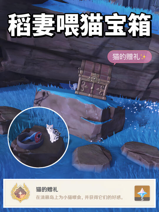 稻妻隐藏成就 | 猫的赠礼