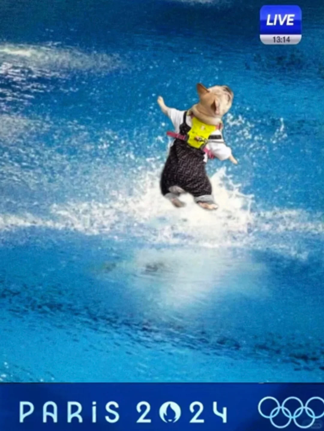 法国佬回家参加奥运会咯！中国加油⛽