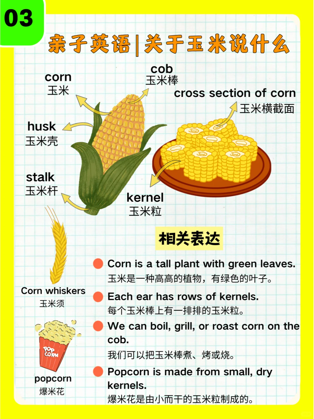 03|亲子英语篇|关于🌽说什么