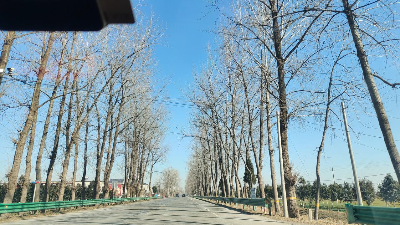 今天上午，我做了一个决定，推掉了腊月十八的初中同学聚会。做出这个决定我是想了又想