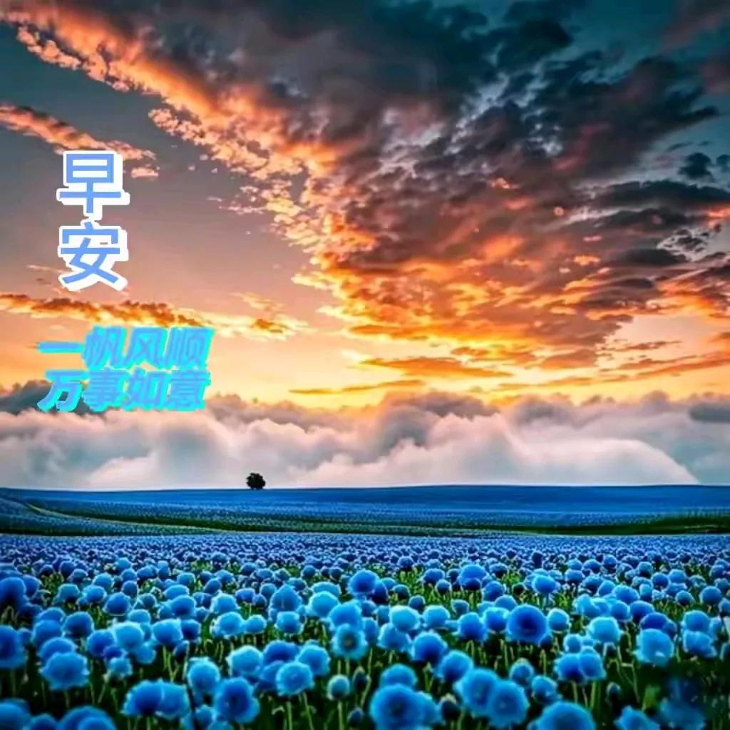 晨醒思清，你到底想怎么个活法。。。
对于健康，你是快乐地抽着烟。。。。
还是心秋