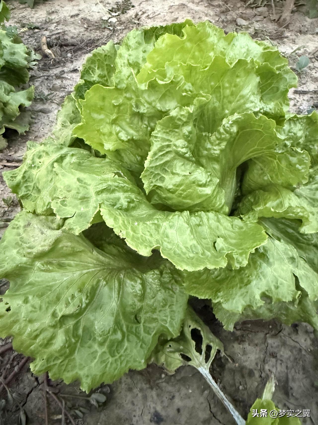 3种隐形升糖食物有人天天吃这不吃，那不吃，还能吃什么？！吃这不行，吃那不行，生活