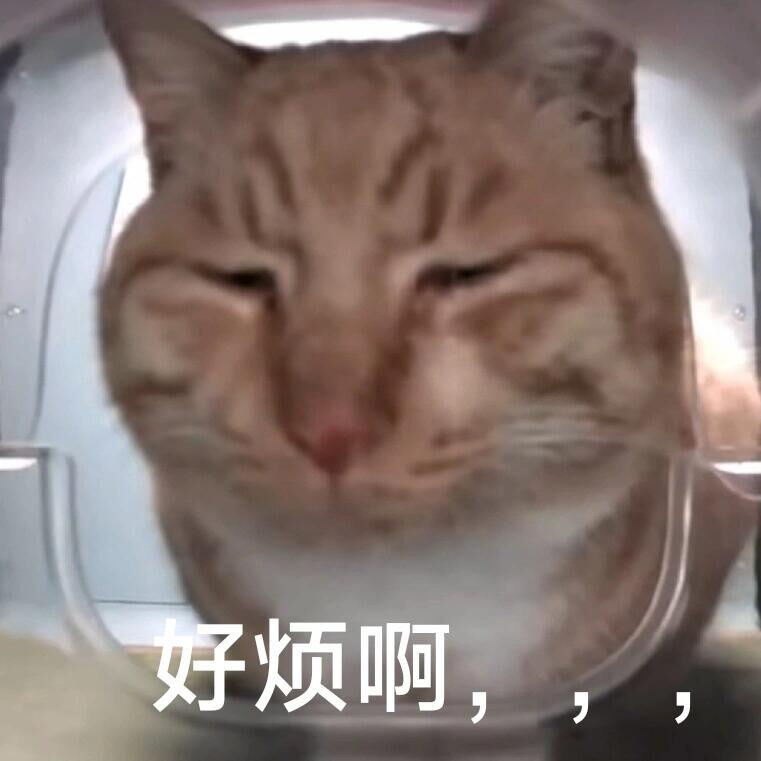 打工人能用到的表情包 ​​​