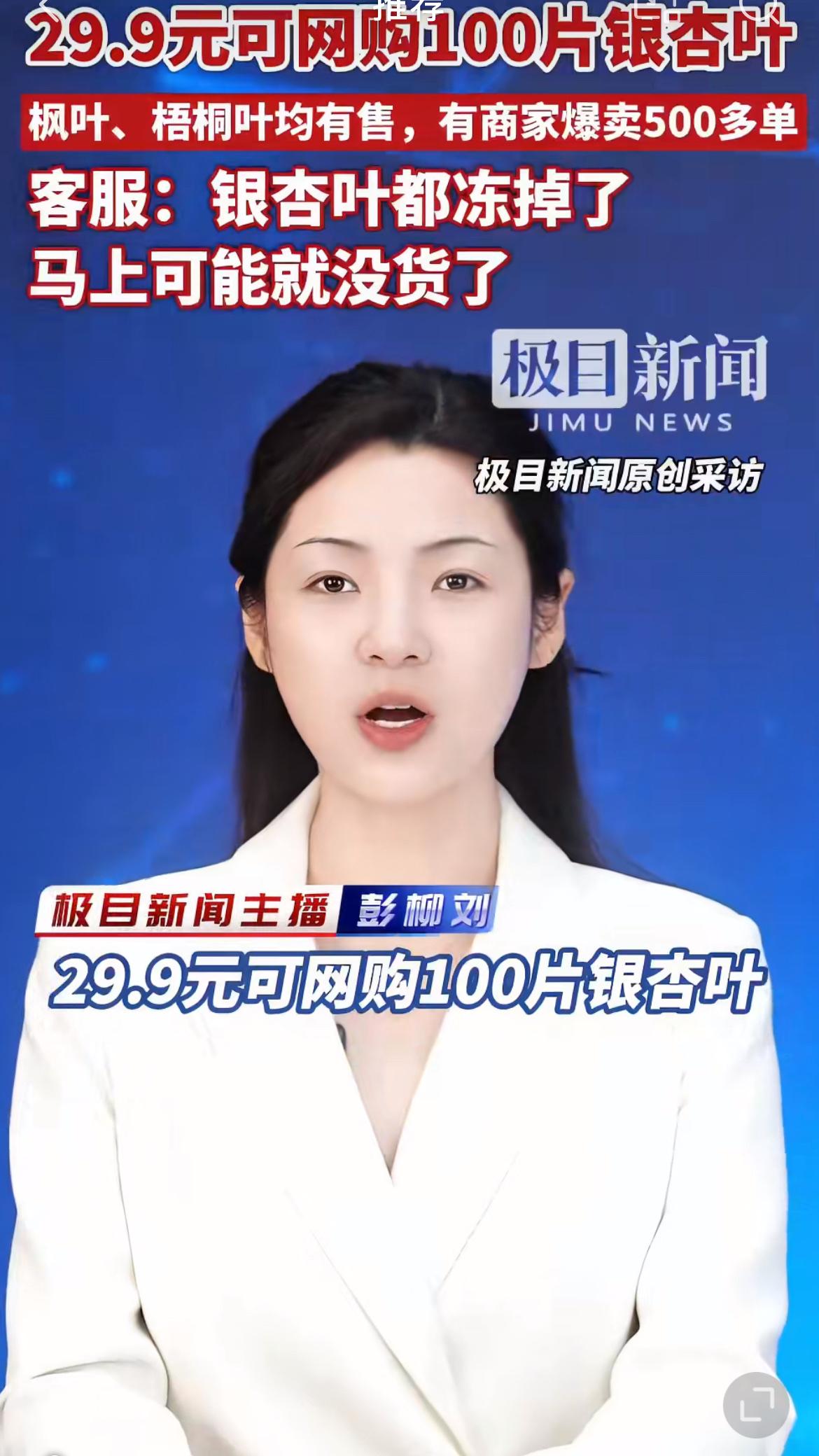 最近网上掀起了一股网购银杏叶的热潮，29.9元就能买到100片的价格让不少人觉得