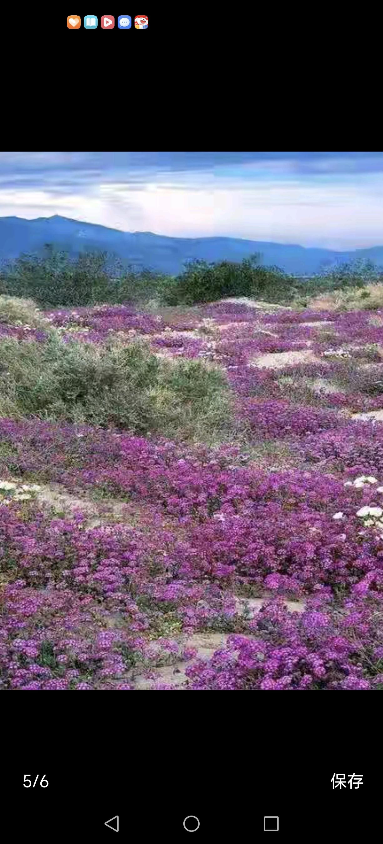 标题：活得明白，才是真正的幸福
人生在世，最深刻的领悟，常常不是在书本里找得到的