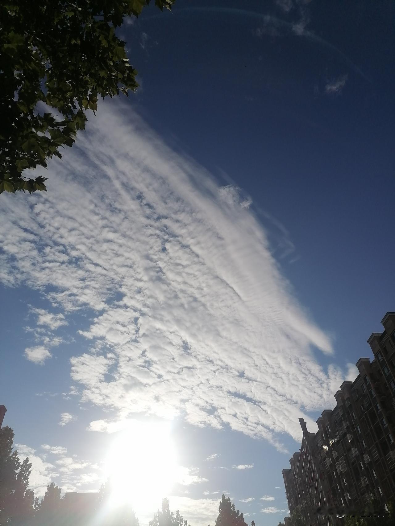 白天雨也下了，风也刮了，过去的都过去了。播报员不合格呀，那就说说晚上的天气情况吧