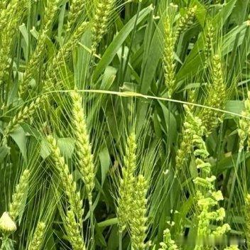 能力的背后是能量，能量的背后是德行，德行的背后是利他，而利他，是一个人生命价值最