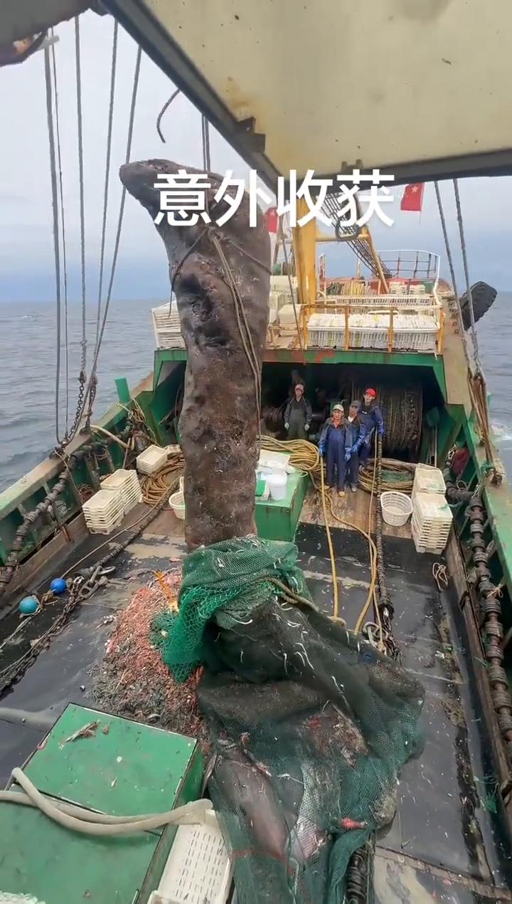 意外收获。