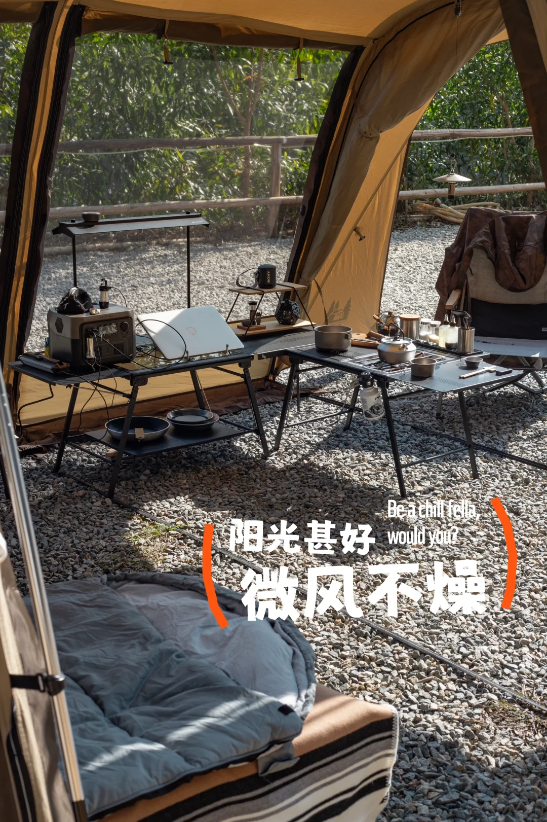 阳光免费供应🌞