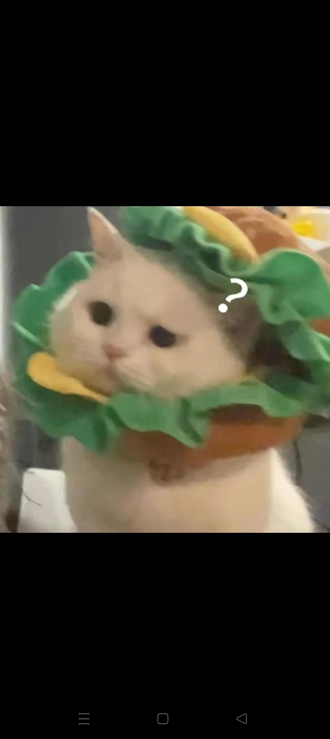 中午请个假晚上播！