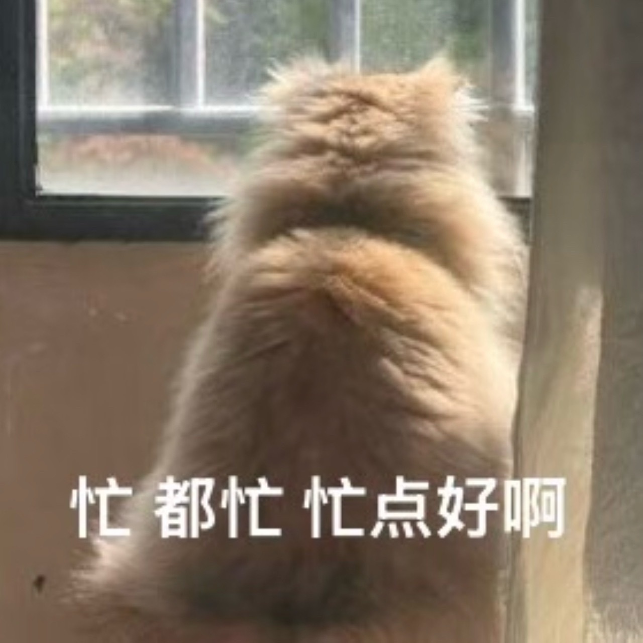所以，张碧晨在不出现的日子里，每天都没闲着，好好好，就独留小晨曦独守空房 