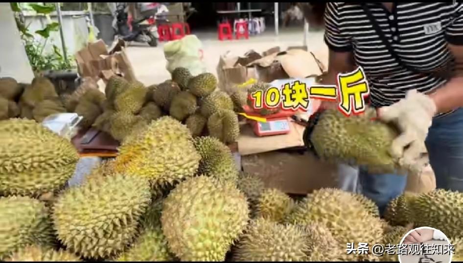 终于弄明白了，
为什么榴莲跌到10块钱一斤，反而没人敢随便买了。

不是便宜没好