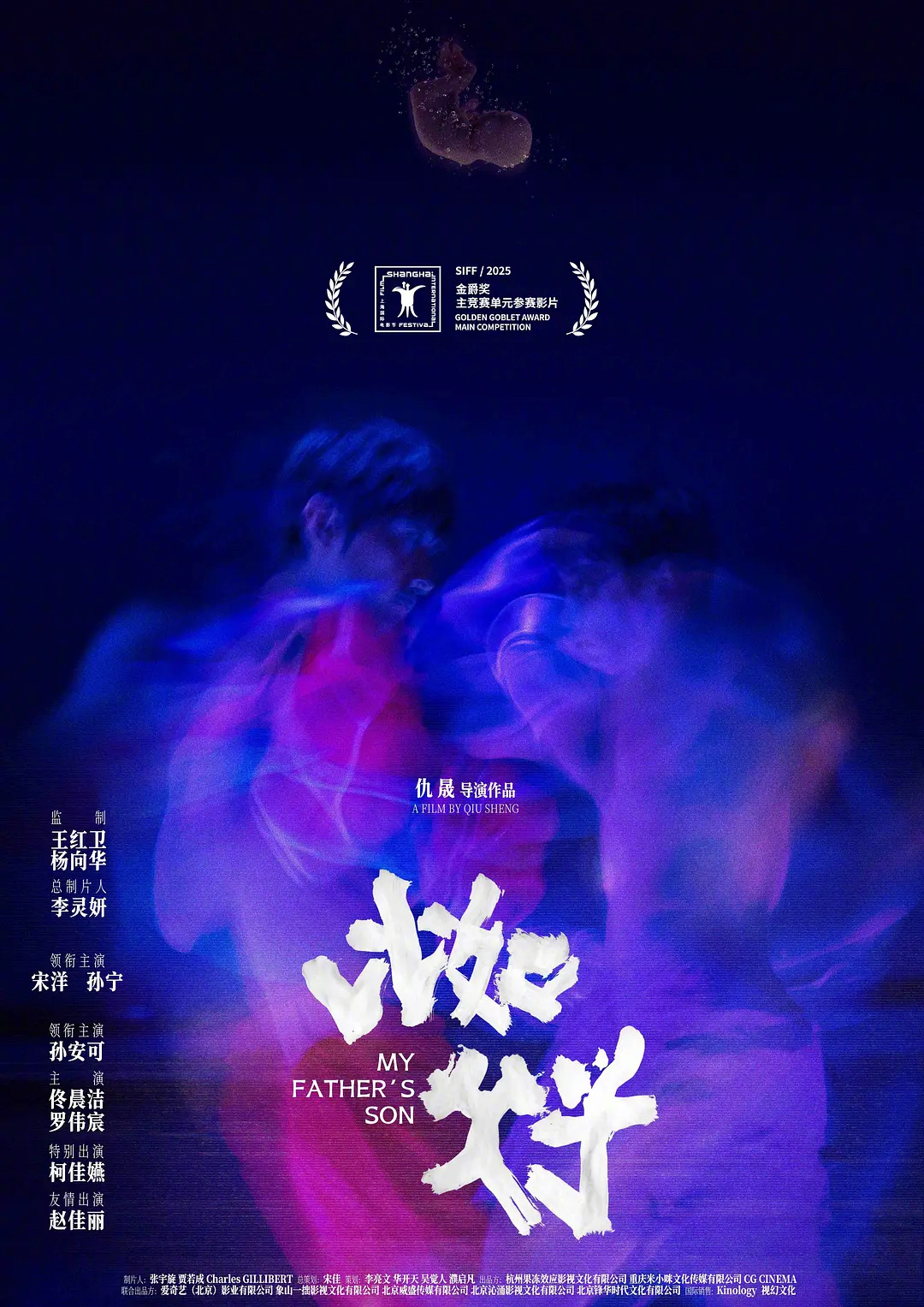 比如父子上影节最佳艺术贡献奖第27届上海国际电影节金爵奖主竞赛单元最佳艺术贡献奖