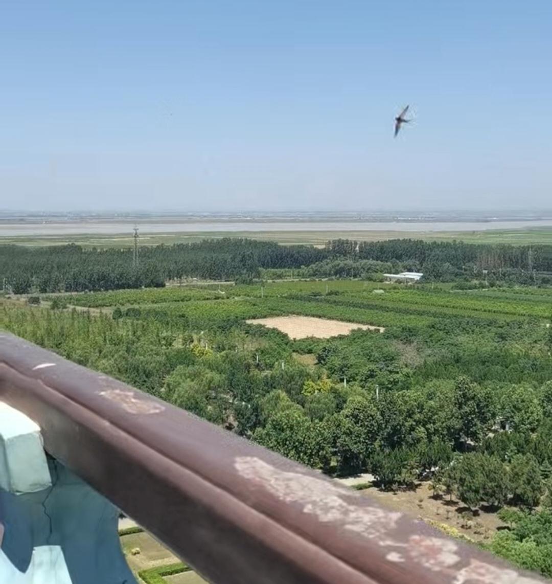 分享你手机随手拍最近到永济登鹳雀楼，如图所示是站在鹳雀楼上眺望远处的黄河。尽管今