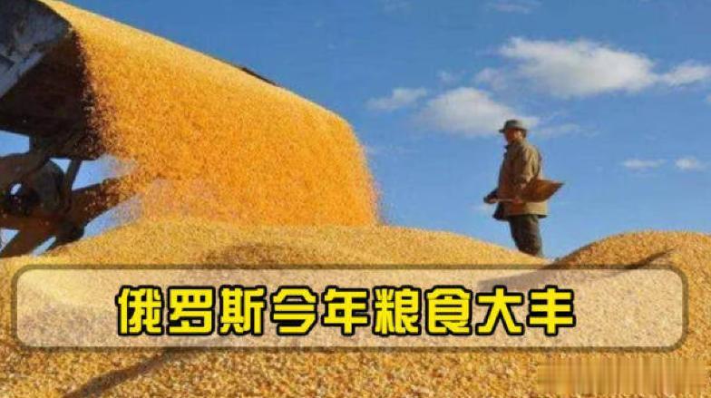 俄罗斯最近手头有点难，所以准备请我们帮几个忙，也不是什么大事：
第一，因为俄罗斯