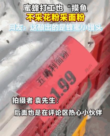 万万没想到！成都，一男子在超市购物时，被眼前的一幕惊呆了。他发现一群蜜蜂正围着一
