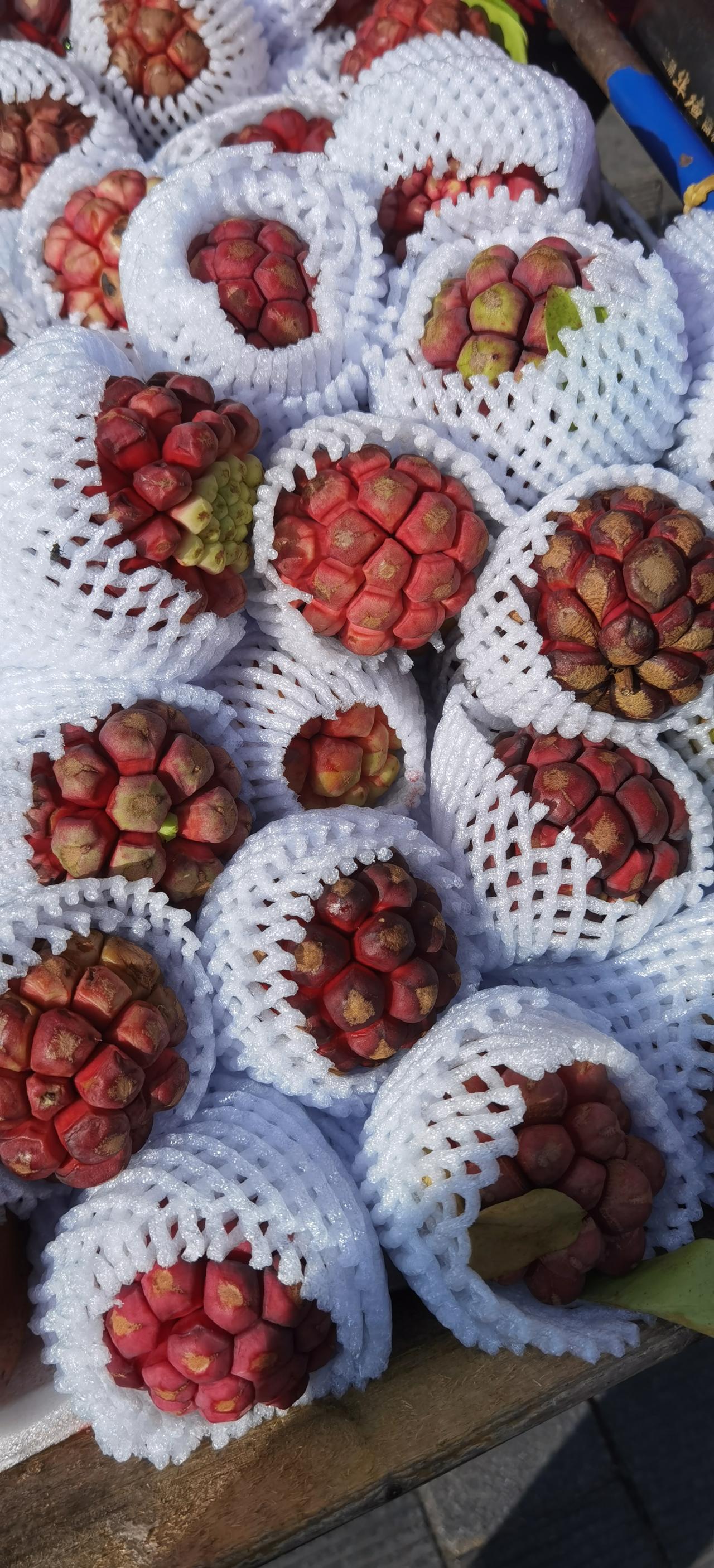 考考你的见识和眼力。

这是今天（1月7日）在海南省海口市骑楼老街拍到的各种当地