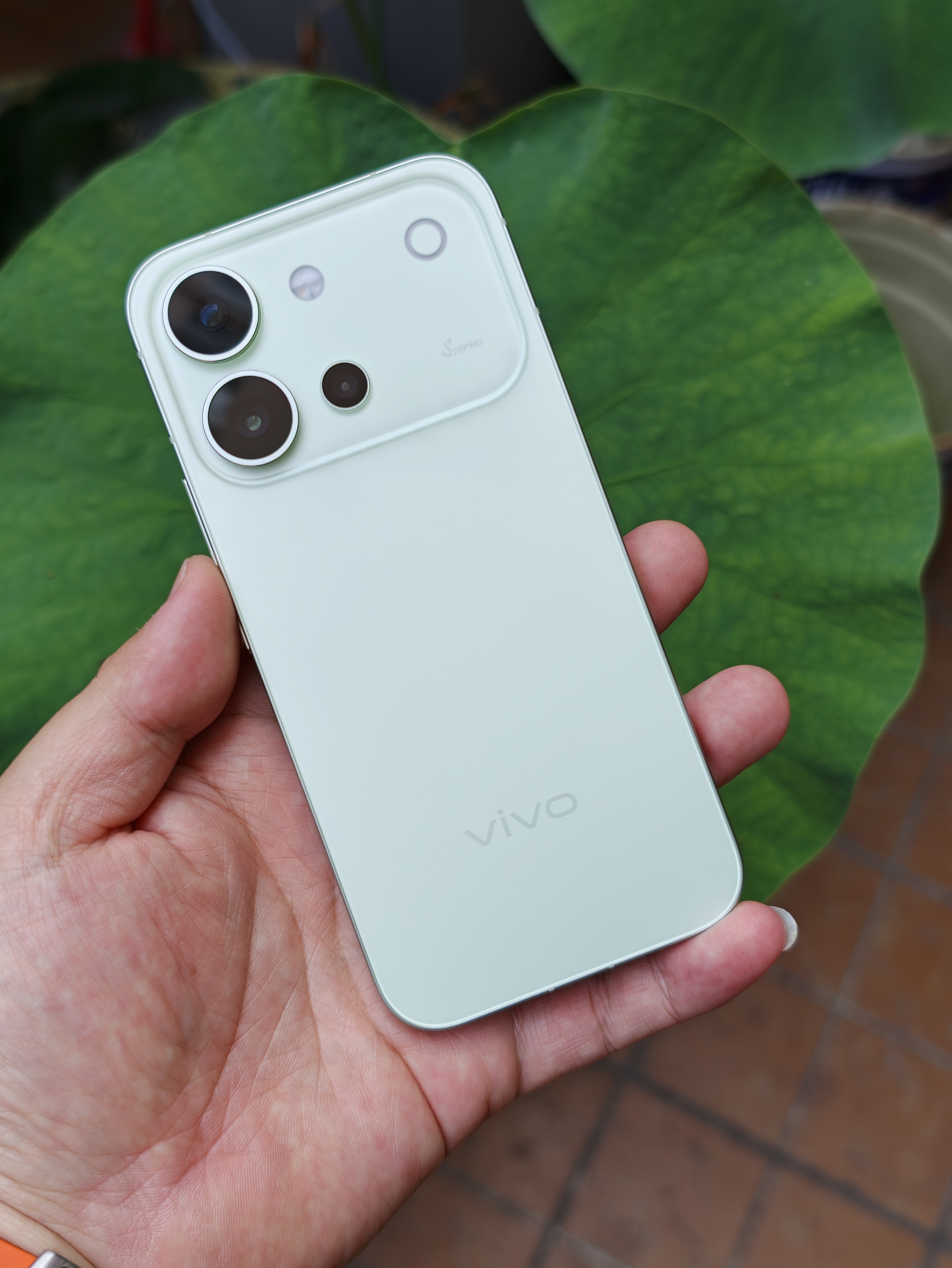 vivo S60初夏绿的真机，感觉是近几代最好看的S系列你们说呢？ 