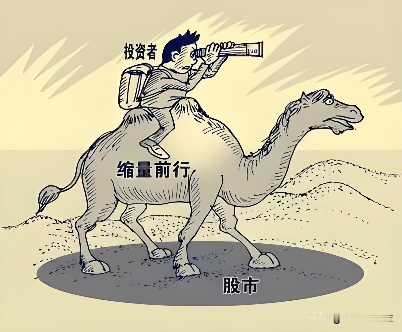 7月27日股市晚8点：今天科技股回血了，但散户最容易犯的错，也来了。

老麻雀说