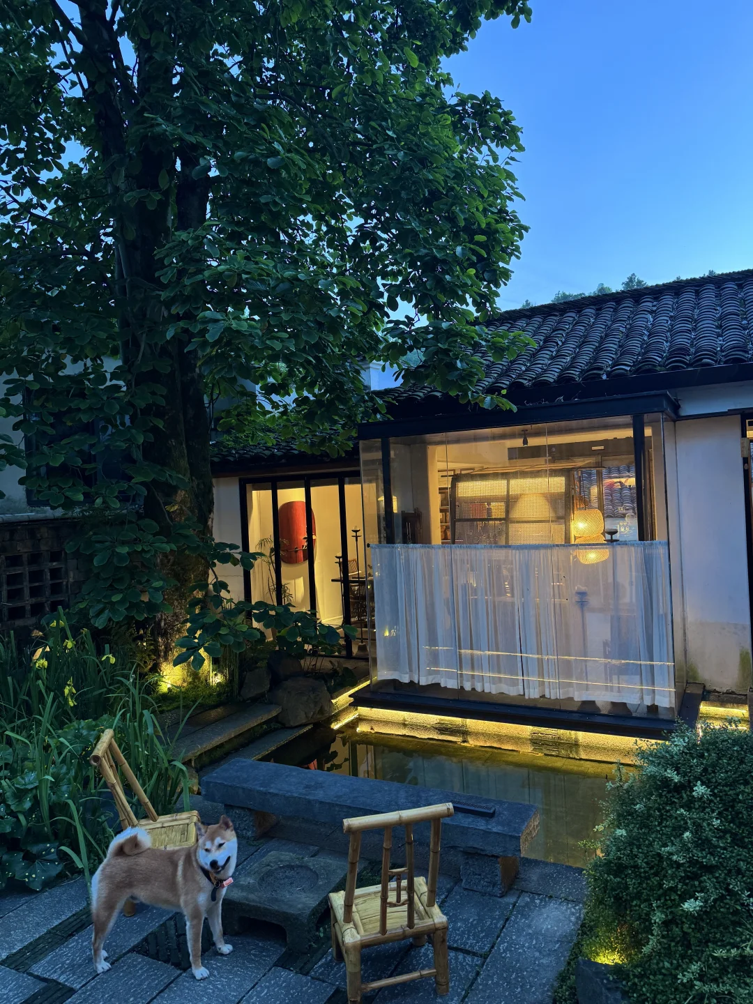 九华山小院｜想赖着不走了