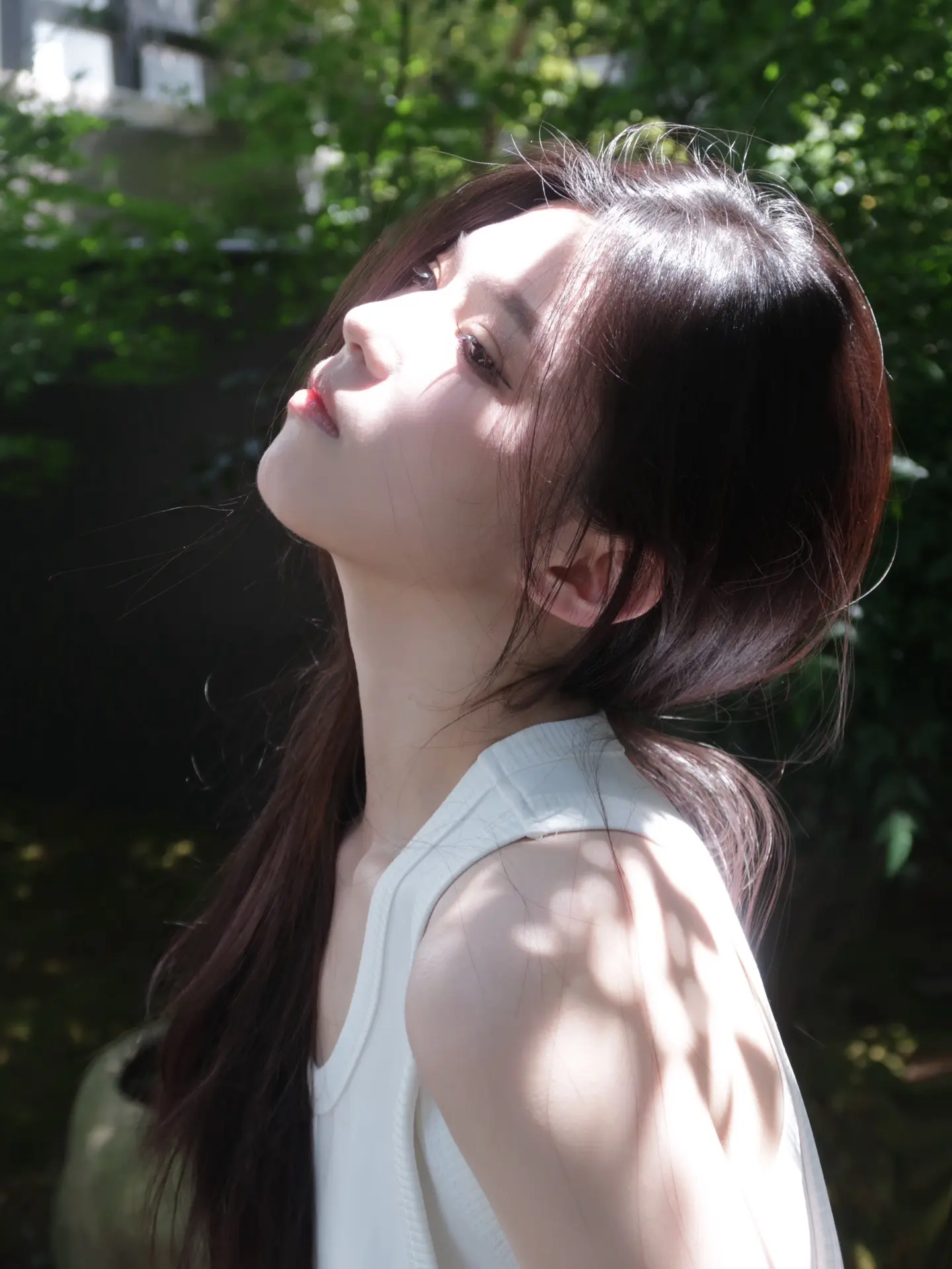 人类为何如此迷恋夏天