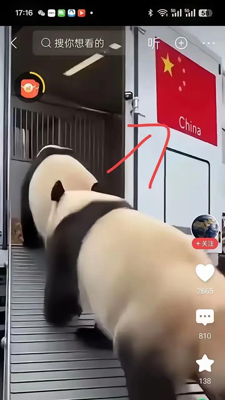 看晓晓蕾蕾朝着挂国旗
的回国专车大步走，瞬间破防！

这俩宝在海外待了这么久，终