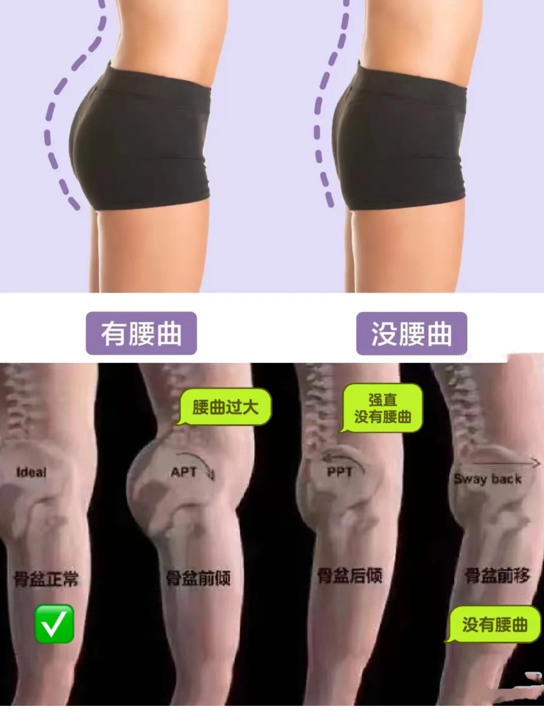 没有腰曲 就没有上臀