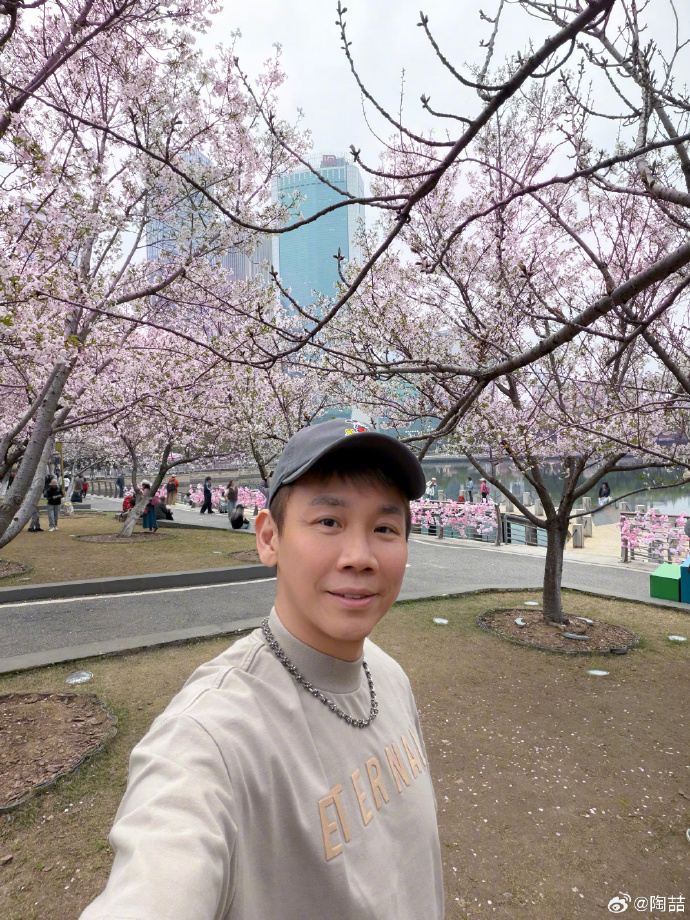 陶喆180度樱花自拍 被陶喆180度樱花自拍狠狠戳中笑点🤣 旋转找角度拍樱花的