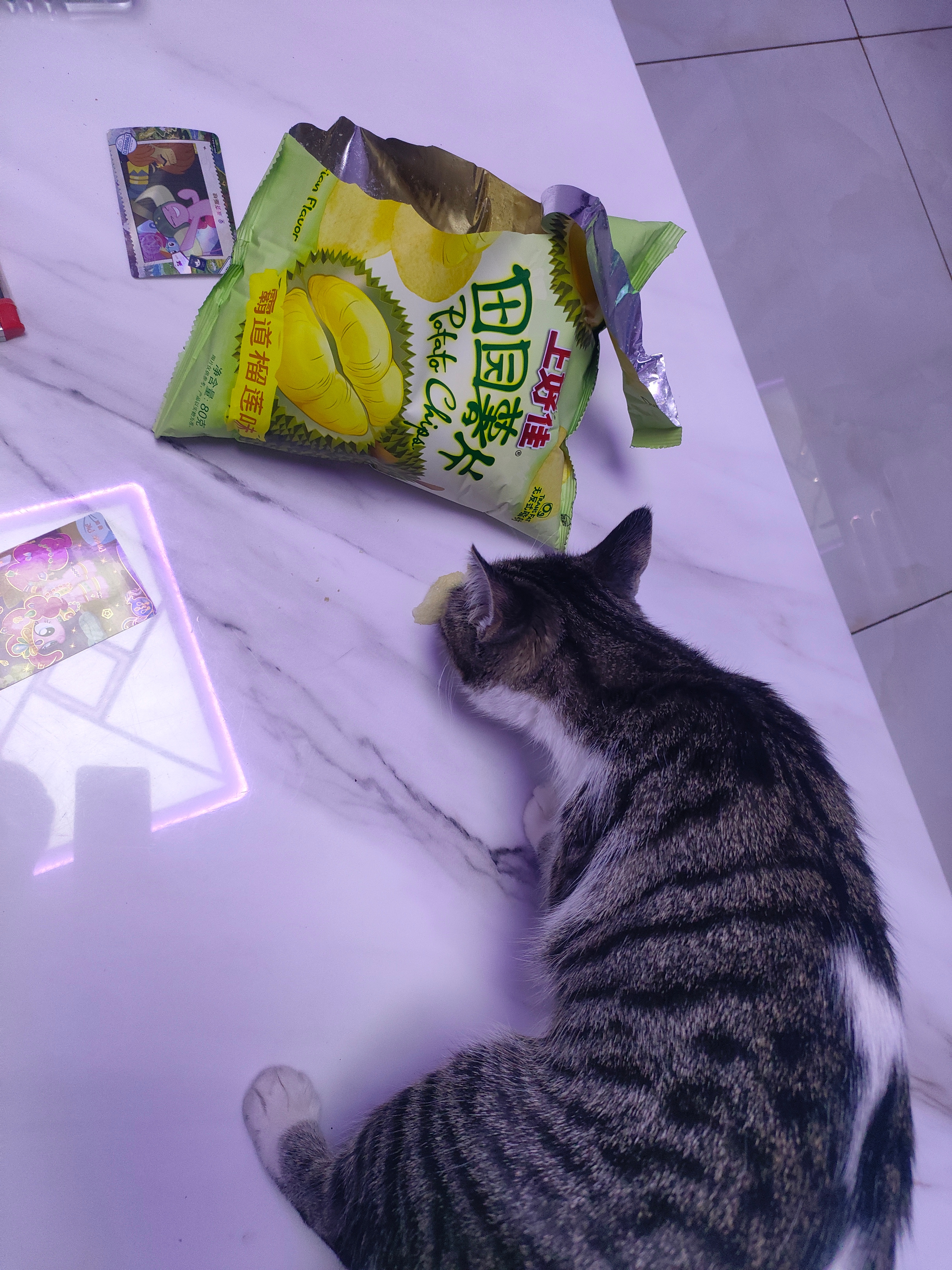 俺家猫吃榴莲味的薯片欸！ 