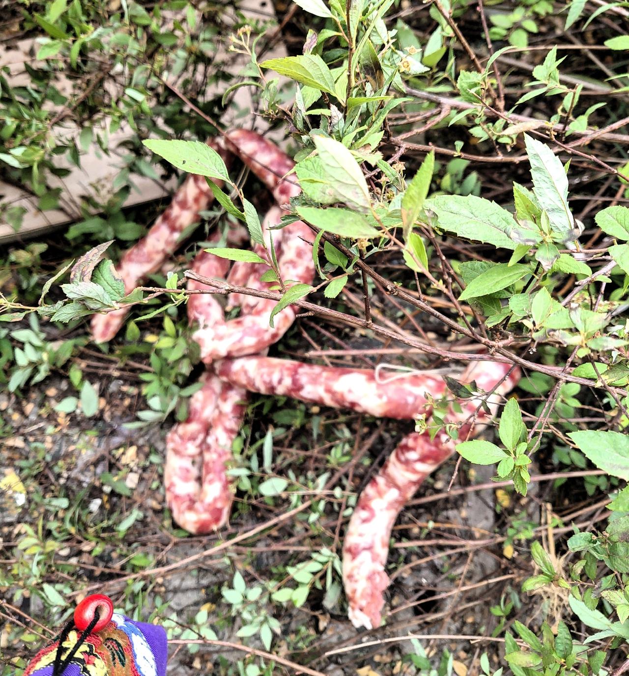 看了天气预报，周六有雨。香肠得赶紧晒，昨天早上起来第一件事，就是赶紧跟老同志配合