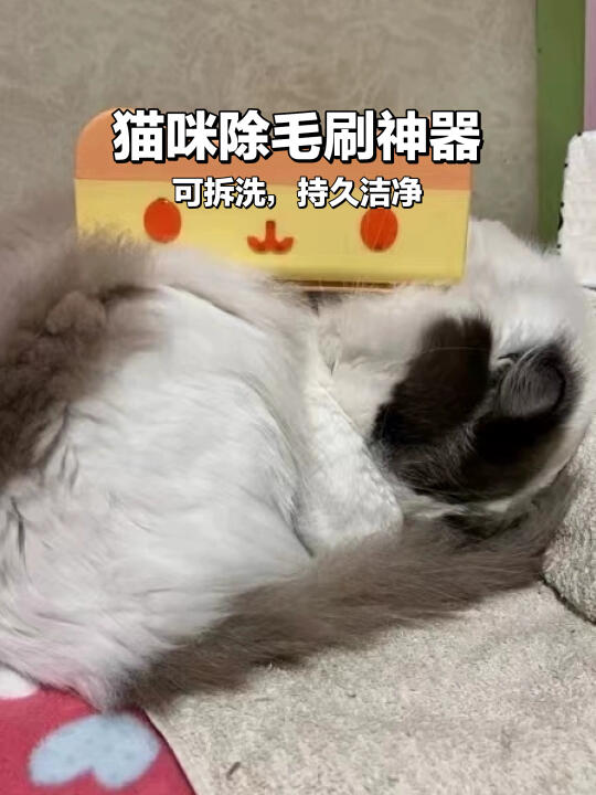 猫咪除毛刷🐱粘毛神器