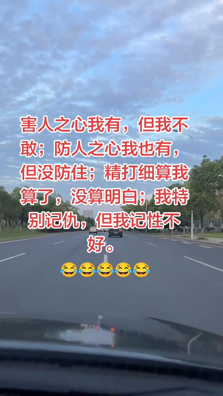 害人之心我有，但我不敢；防人之心我也有，但没防住；精打细算我算了，没算明白；我特