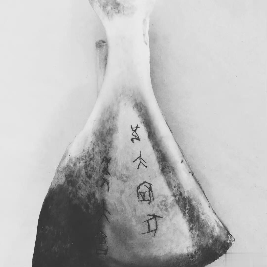 龙骨 #沅汰博物馆# 《本草纲目》里有一味药材叫“龙骨”。龙骨专治小儿妇科和男子