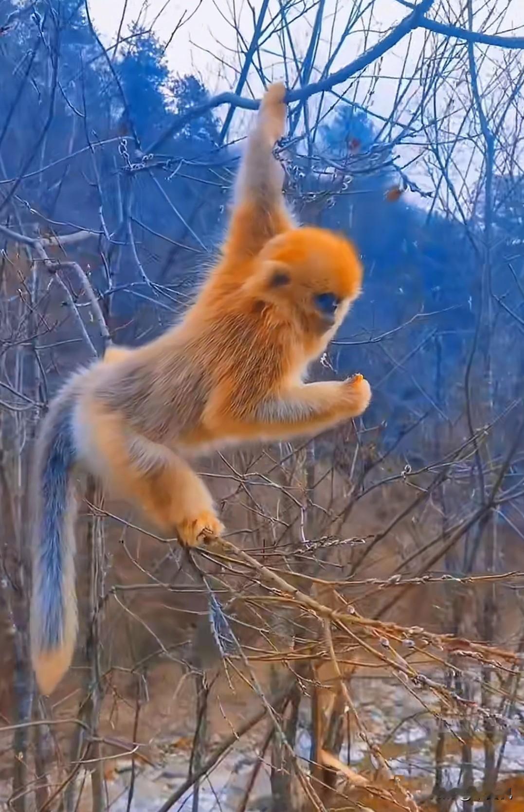 跟认知比你高，聪明又敏感的交流，要么不说，要么实事求是，真诚待见是最好的情商。