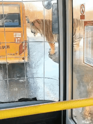 多给点
不够塞牙缝的
约等于没吃