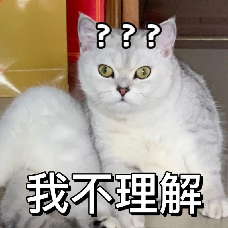 #三只羊沫沫#不是咋了什么情况 ​​​
