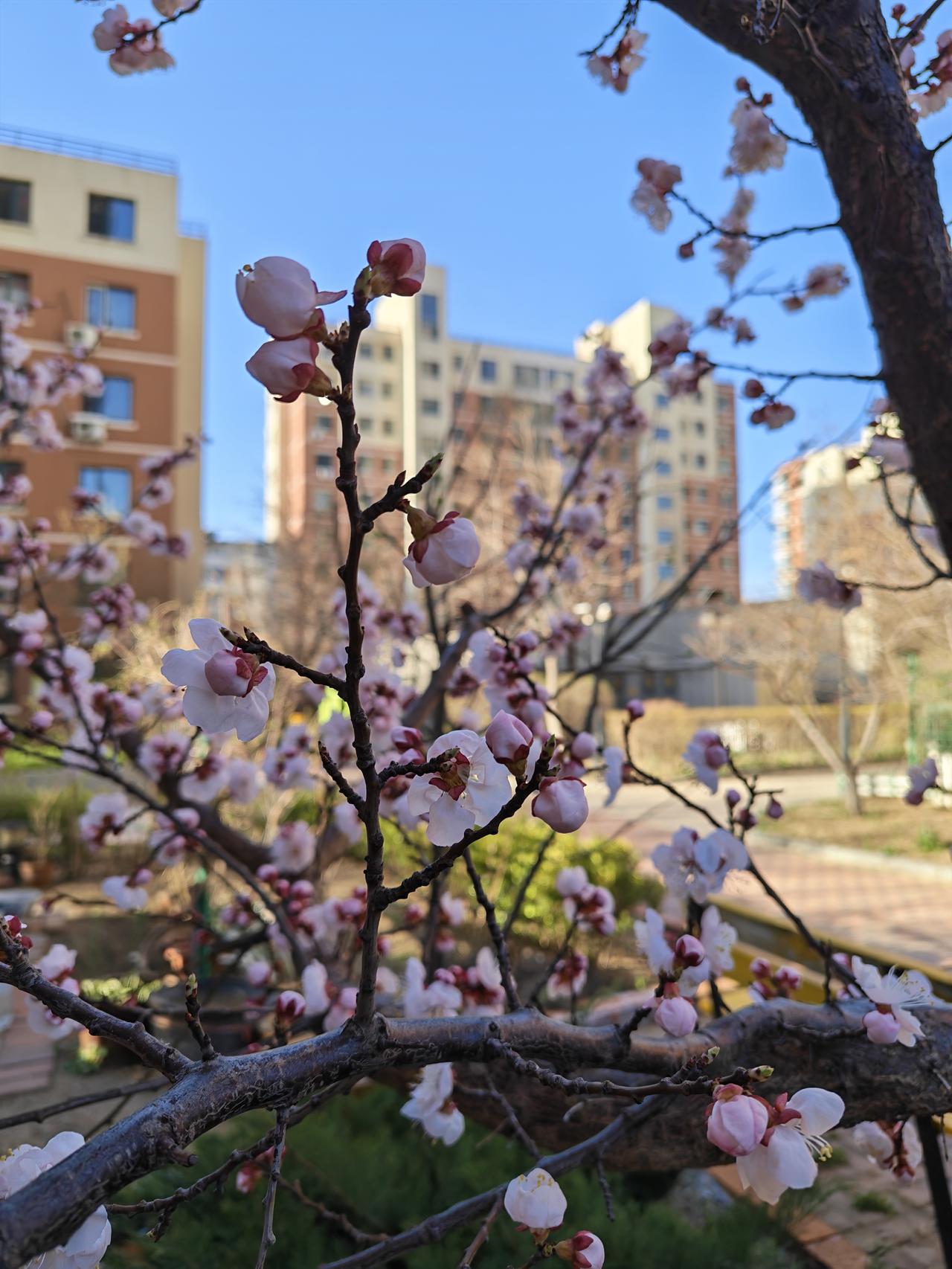 分享一张关于春天的照片吧