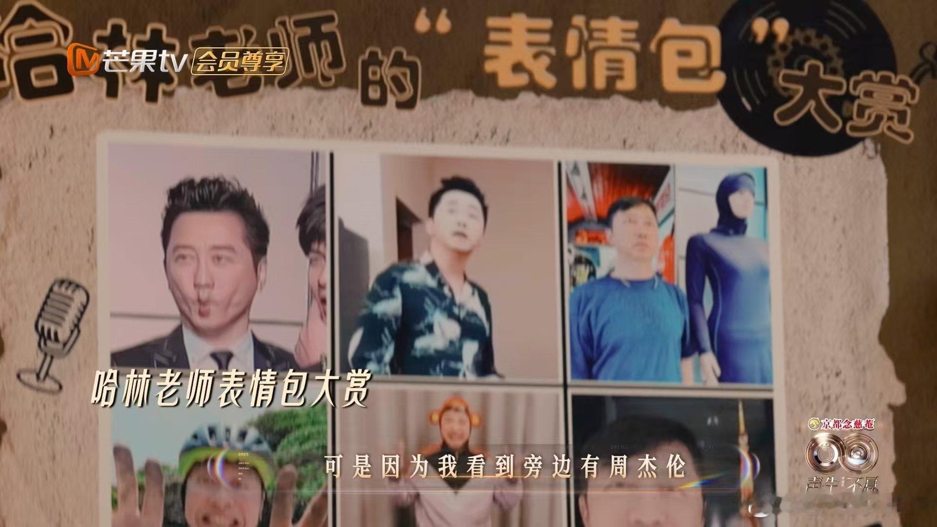 全网庾澄庆表情包持证上岗 声生不息 惊喜解锁！哈林哥亲自下场为个人表情包正名赐名