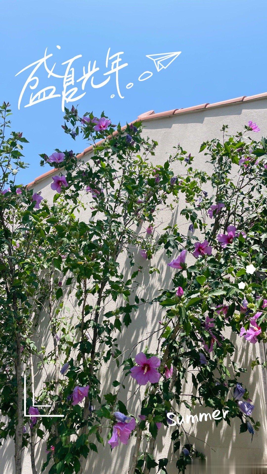 二十岁，需要做的是体验生活，享受生活，找到自己的热爱，然后到三十岁的时候，你会充