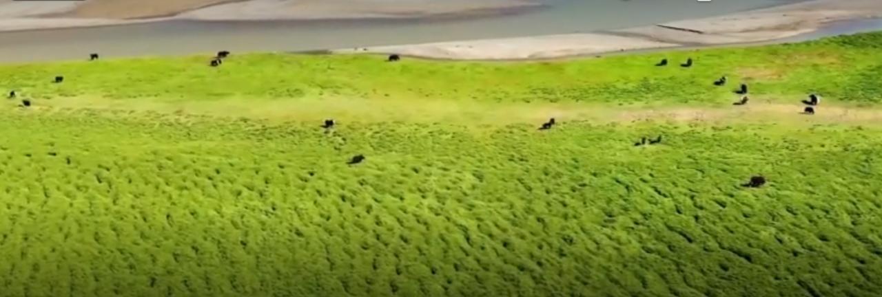 从奔腾江河到澄澈湖泊，从广袤草原到茂密森林，“十四五”期间我国超2100个重点区