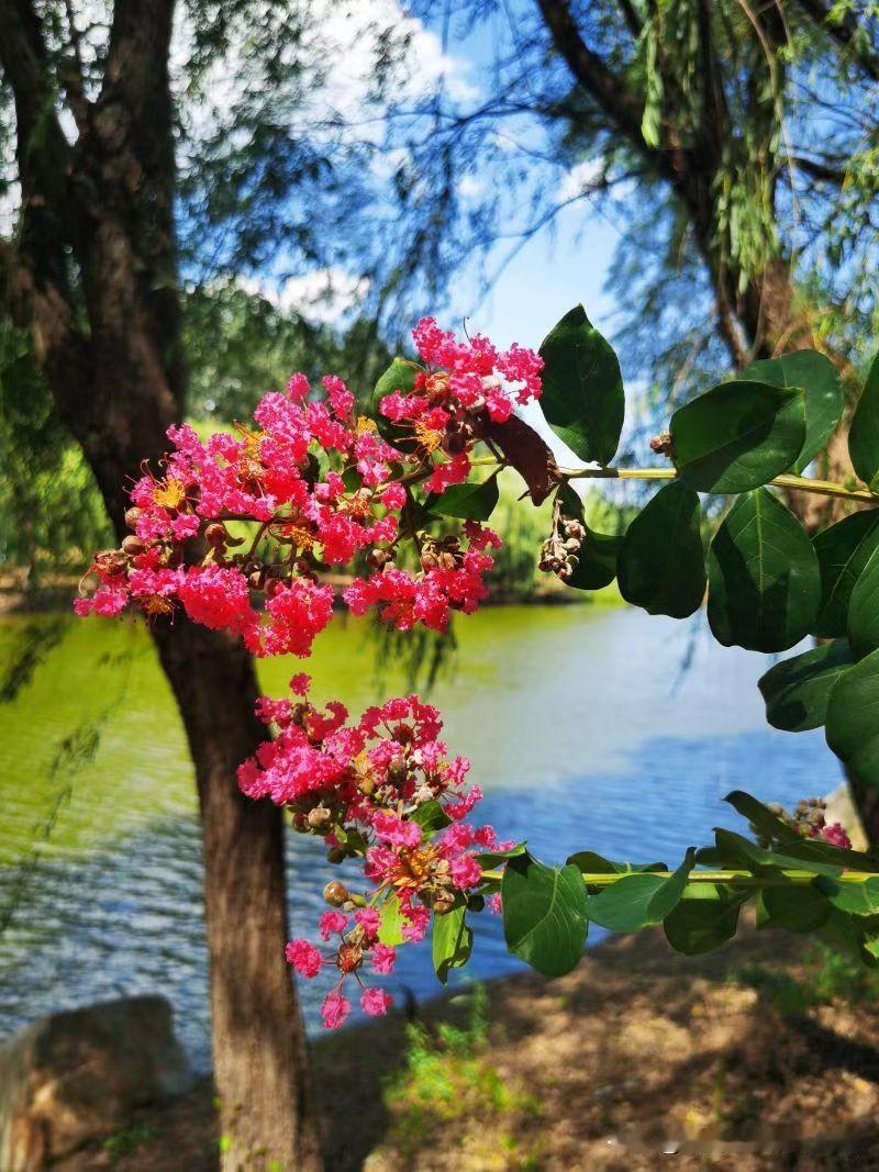 贼性是难改的！治理抄袭别指望良心发现。如果文章不能被复制黏贴、图片不能被提取文字