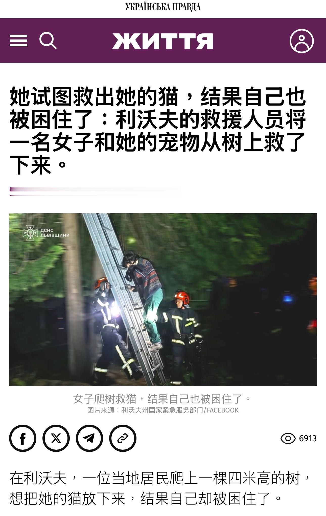 葫芦娃救爷爷，利沃夫女子救猫： 