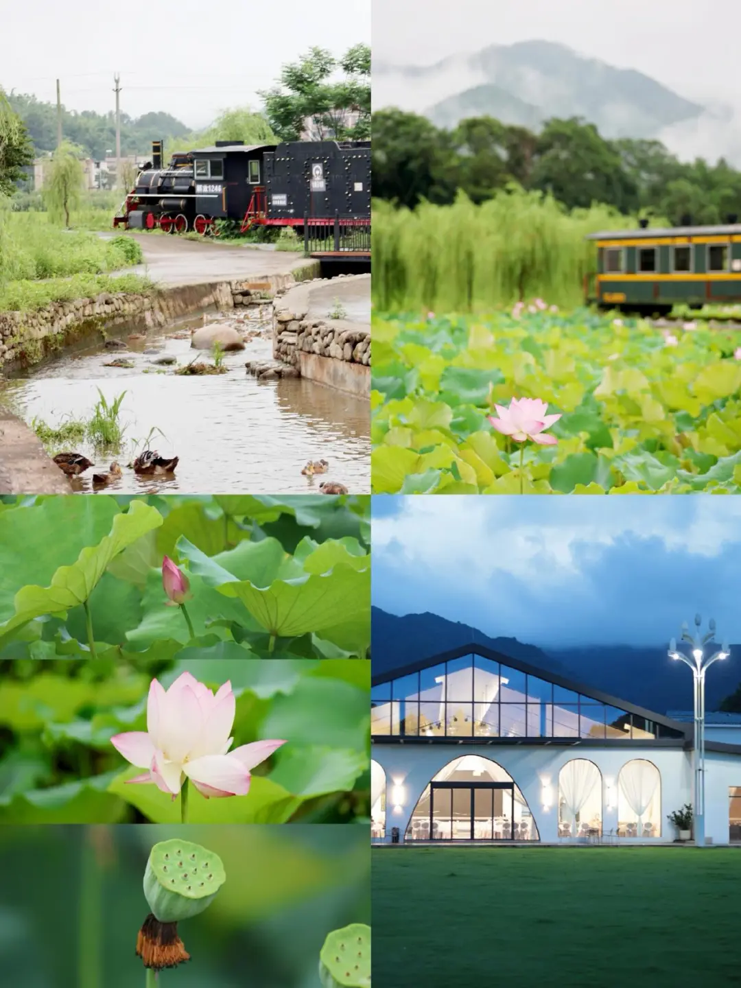 广东连州｜在村里民宿感受大自然的气息