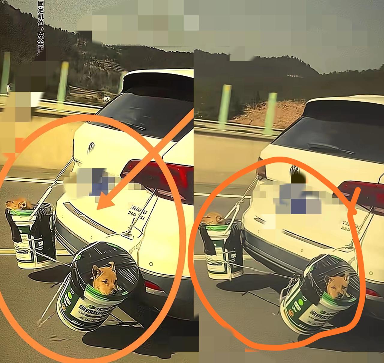 这张图火了！高速返乡的“移动狗窝”，戳中多少打工人的软肋
 
        高