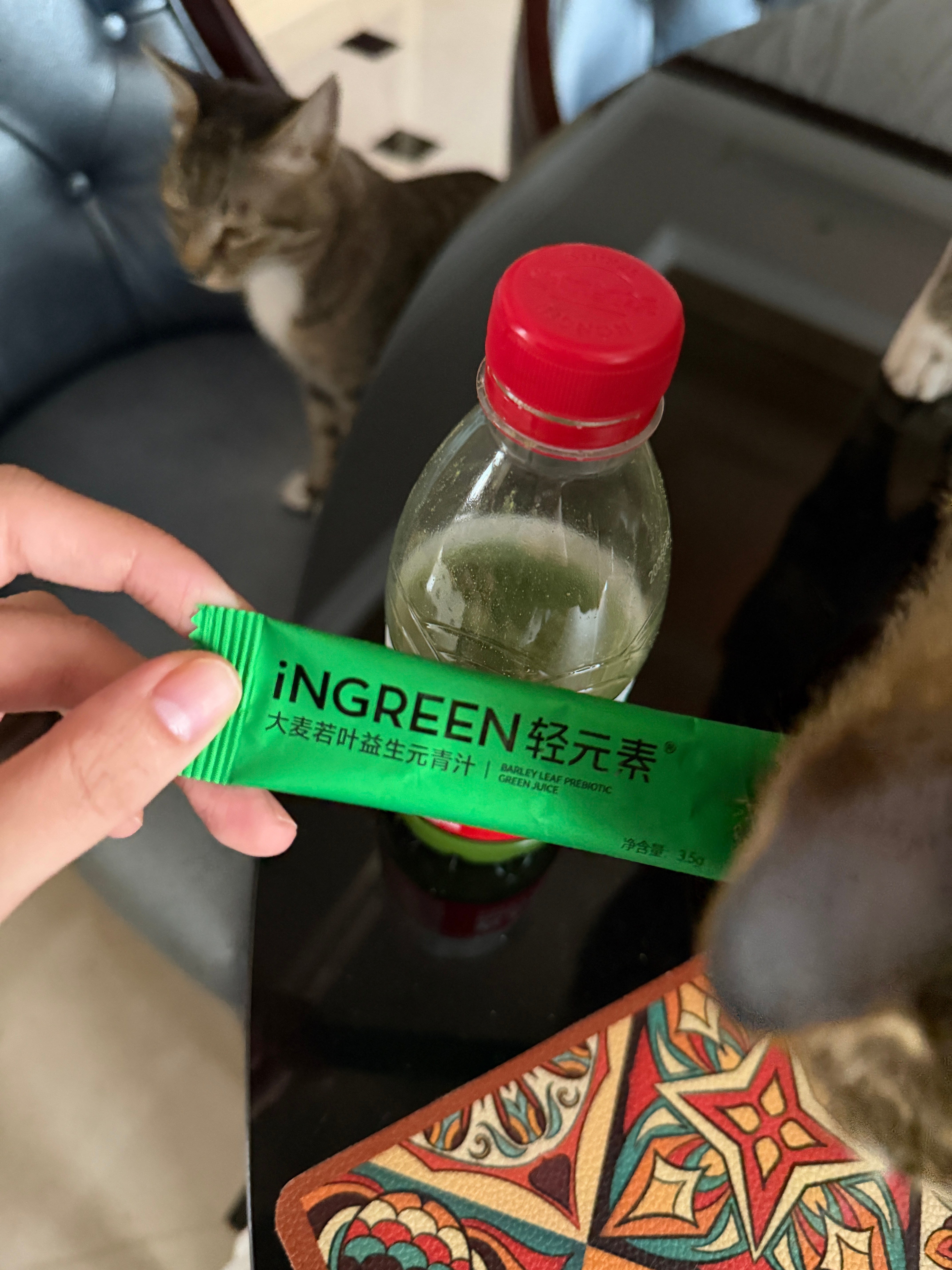 贝贝们去买这个！吃的太油腻重口喝这个真的对肠胃有用 （小咪们以为是猫条哈哈哈哈可