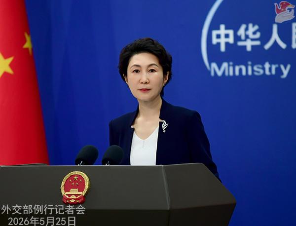 台湾当局称中国大陆上周在从黄海到南海的海域部署了100余艘舰艇 外交部回应

外