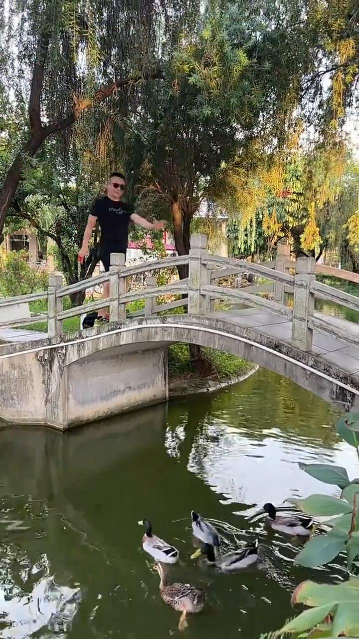门前大桥下游过一群鸭，快来快来数一数，二四六七八。