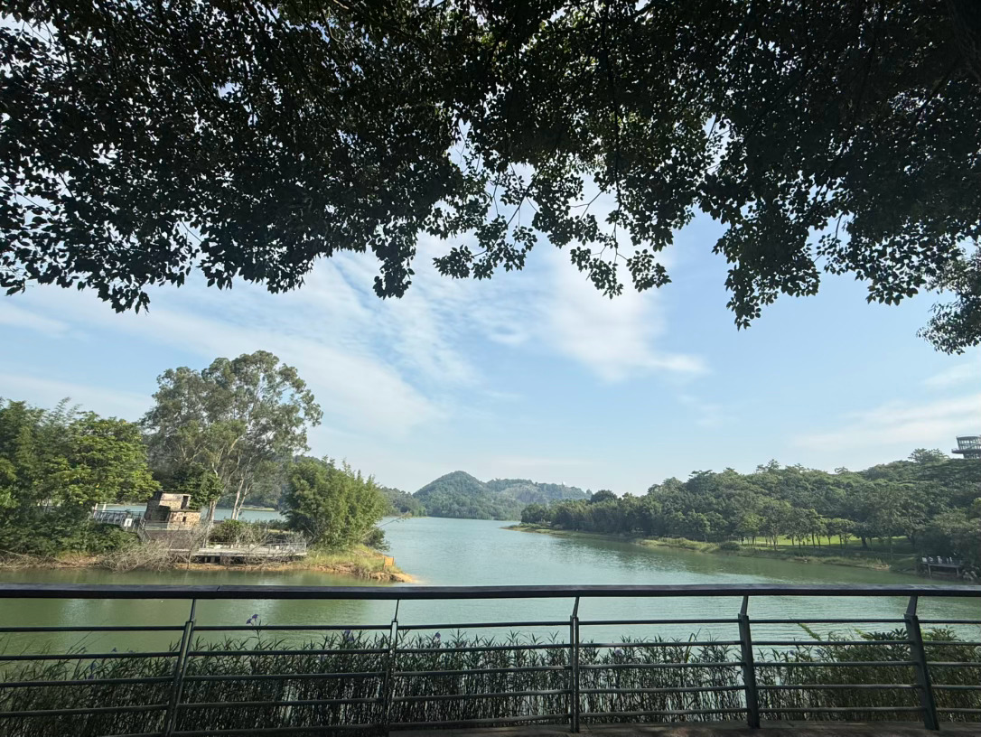 闺女不想来，她还在睡，我已经走完了[手指比心]周末快乐[哇]  ​​​