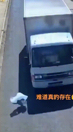 运气太好了！塑料袋救了过马路的小猫
 马路发生特别巧合的一幕，一只小猫正在过马路