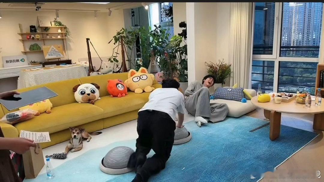 雷淞然一头撞向张呈的肚子张呈雷淞然推手游戏被这俩人笑晕，推手比拼没比过，反倒一头